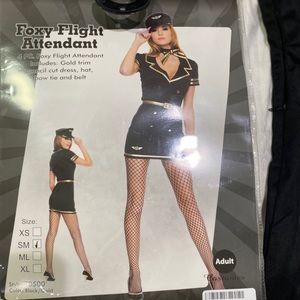 Sexy flight attendant / stewardess costume.